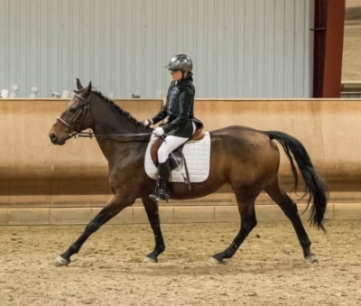 Programridning i dressur!